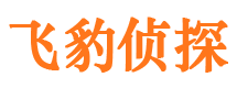 鹤岗市婚姻调查